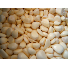 IQF frozen garlic cloves chopped dice